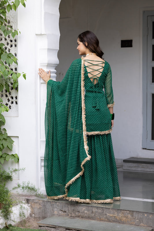 Pehno'Sa Parvati Sharara Set