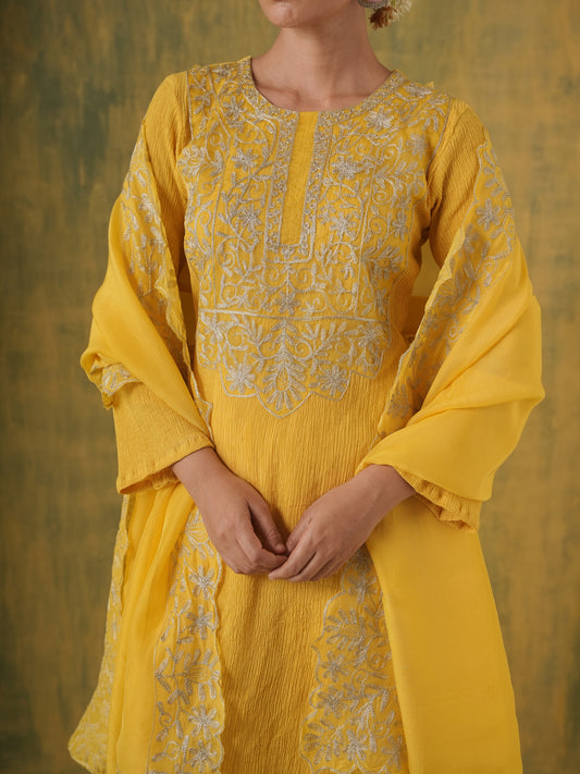 Rani Hansika Mustard Crushed Embroidered Straight Set