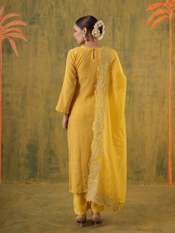 Rani Hansika Mustard Crushed Embroidered Straight Set