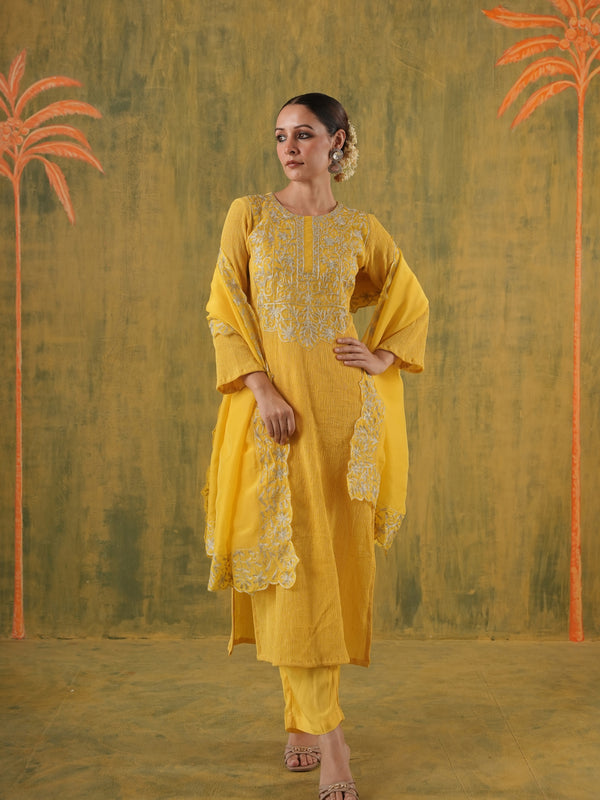 Rani Hansika Mustard Crushed Embroidered Straight Set