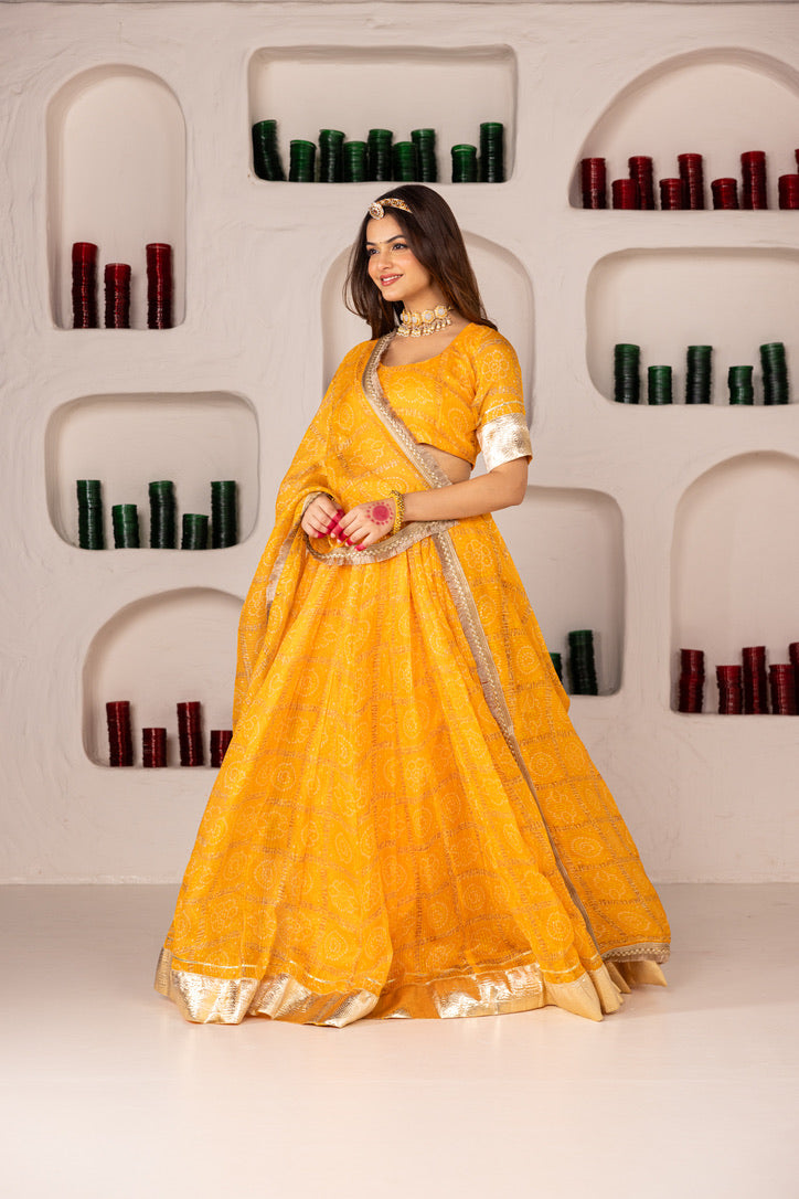 Pehno'Sa Jodhabai Lehenga Set