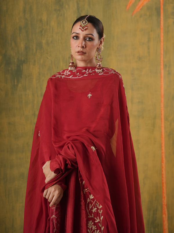 Rani Gulnar Maroon Embroidered Silk Anarkali Set