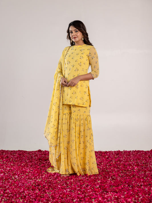 Ramani Sharara Set