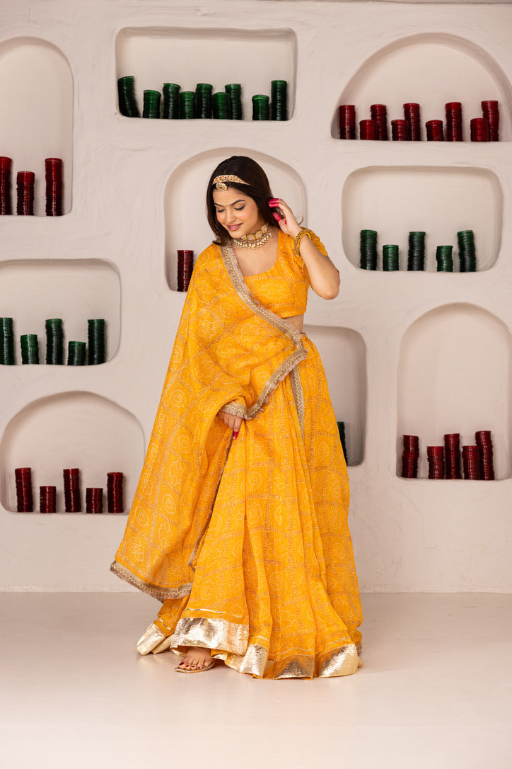 Pehno'Sa Jodhabai Lehenga Set