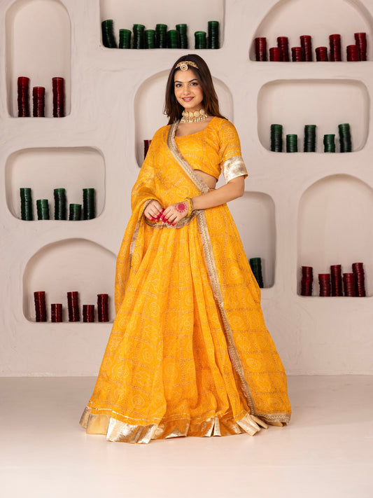 Pehno'Sa Jodhabai Lehenga Set