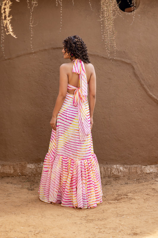 Winter Flair Dress