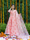 Gulmohar Suit Set